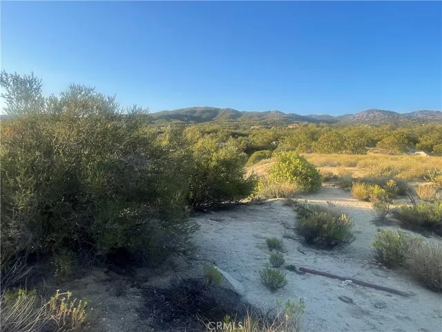 plenty of cleared flat land