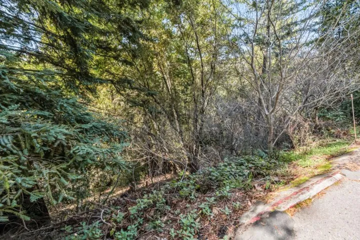 Lakeview Avenue, Felton, California 95018