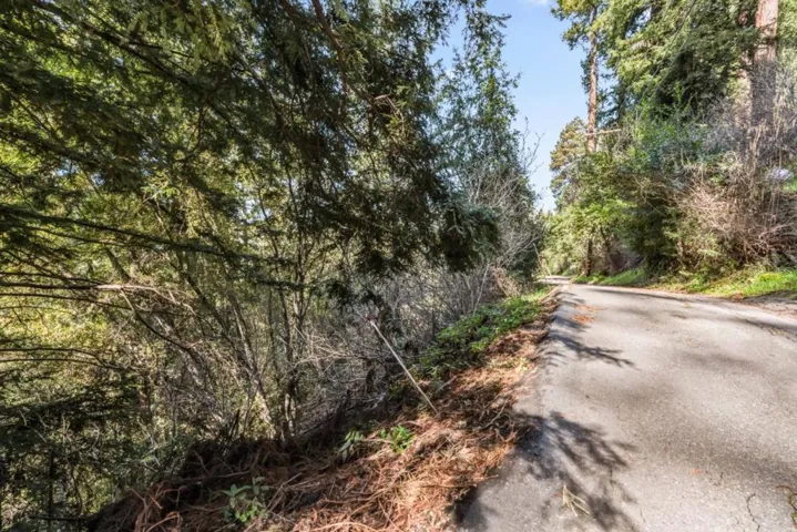Lakeview Avenue, Felton, California 95018