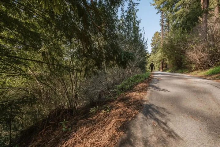 Lakeview Avenue, Felton, California 95018