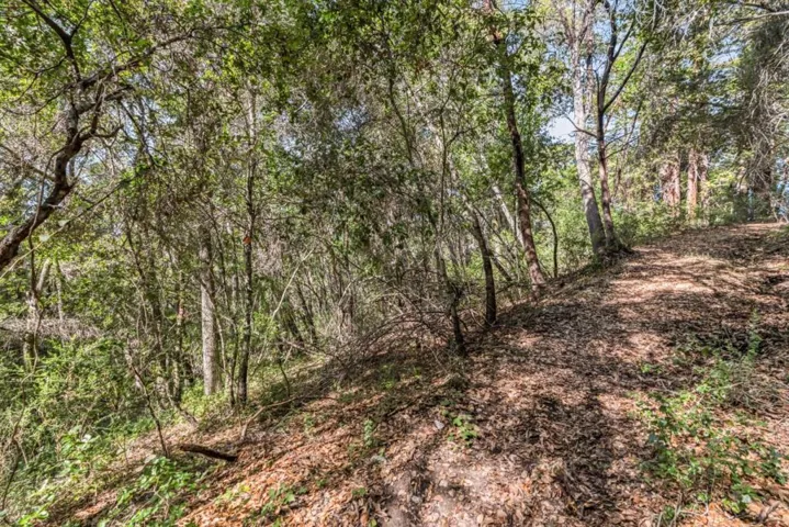 Madrone Avenue, Felton, California 95018