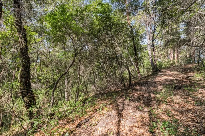 Madrone Avenue, Felton, California 95018