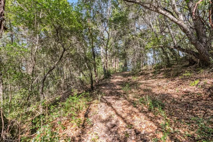 Madrone Avenue, Felton, California 95018