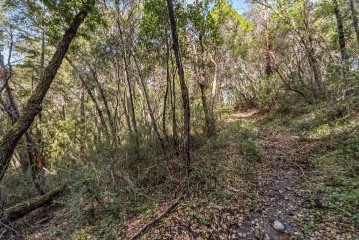Madrone Avenue, Felton, California 95018