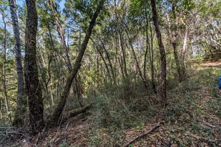 Madrone Avenue, Felton, California 95018