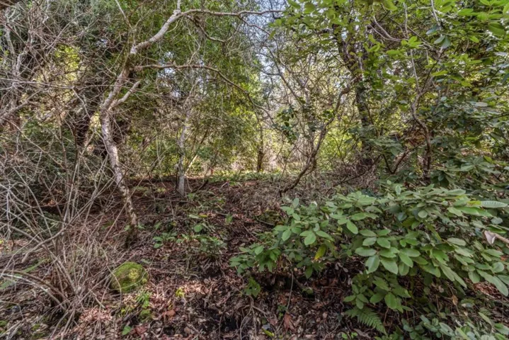 Lakeview Avenue, Felton, California 95018