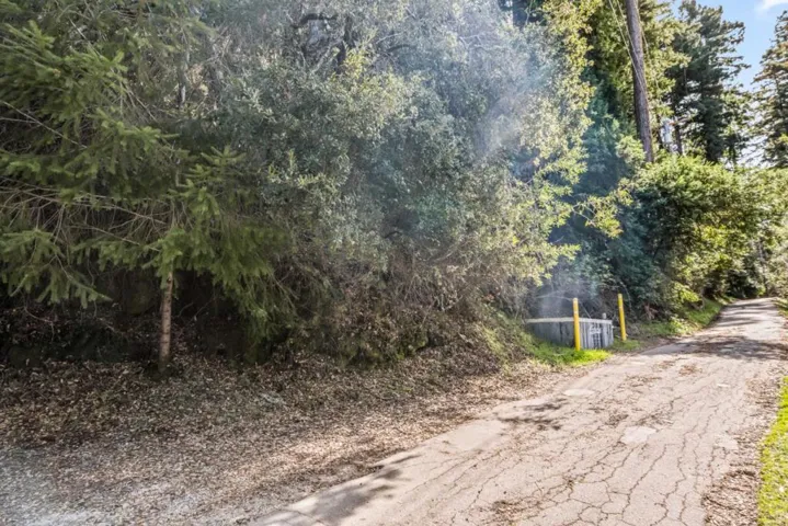 Lakeview Avenue, Felton, California 95018