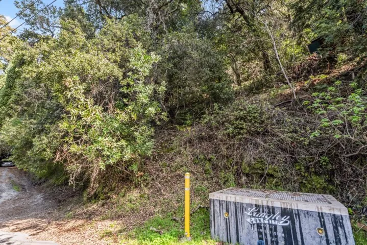 Lakeview Avenue, Felton, California 95018