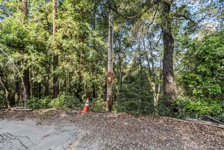 Volver Avenue, Felton, California 95018