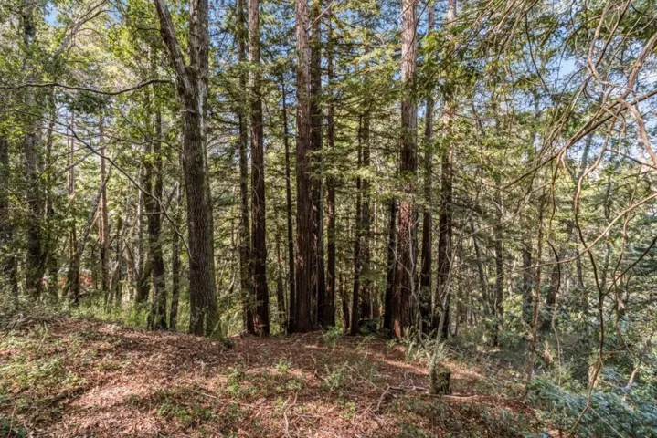 Volver Avenue, Felton, California 95018
