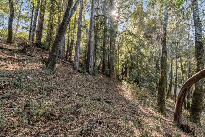 Volver Avenue, Felton, California 95018