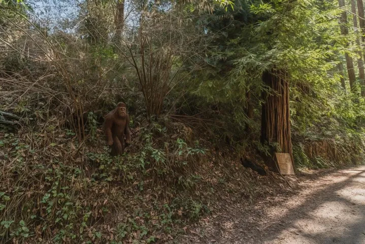 La Lena Street, Felton, California 95018