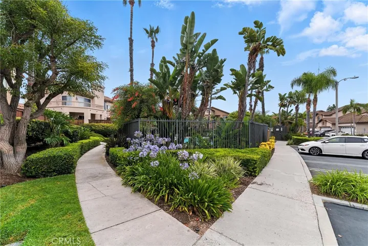 5 Pappagallo, Aliso Viejo, California 92656