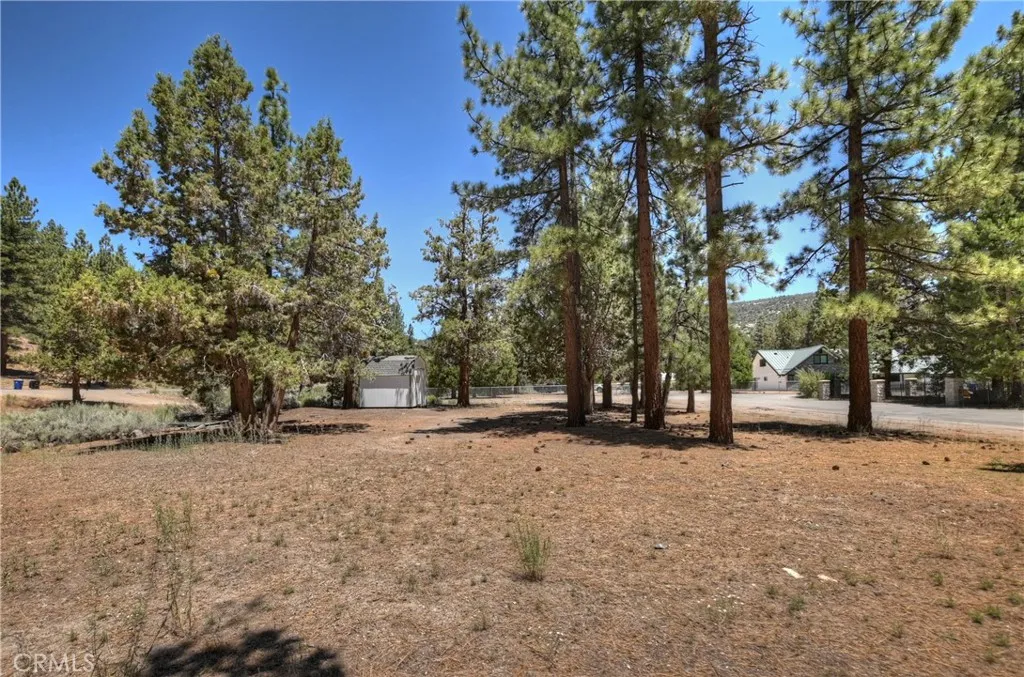 1109 Holden Avenue, Big Bear City, California 92314 home-pic-44