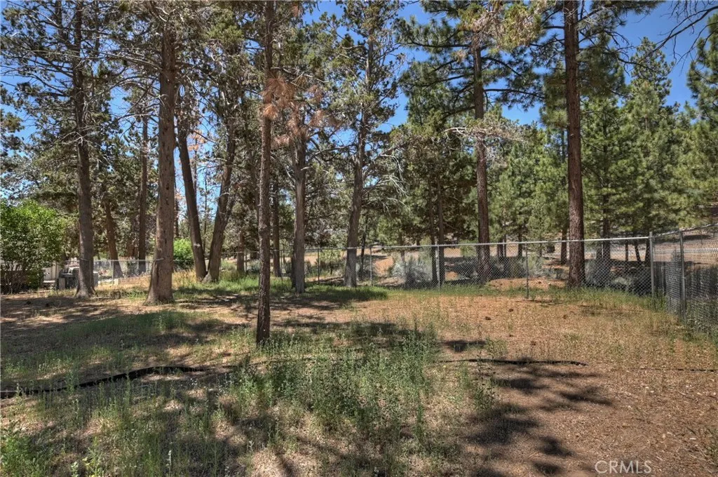 1109 Holden Avenue, Big Bear City, California 92314 home-pic-38
