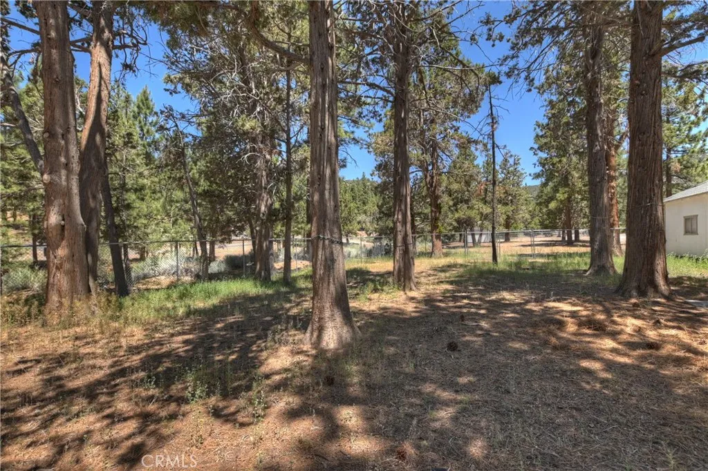 1109 Holden Avenue, Big Bear City, California 92314 home-pic-9