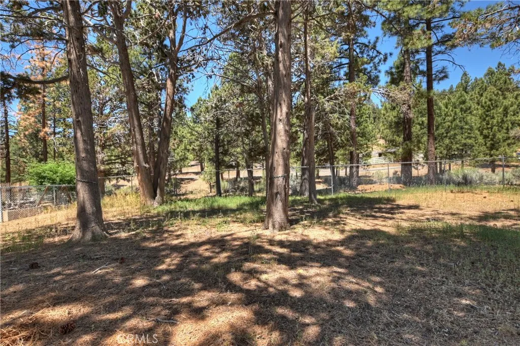 1109 Holden Avenue, Big Bear City, California 92314 home-pic-8