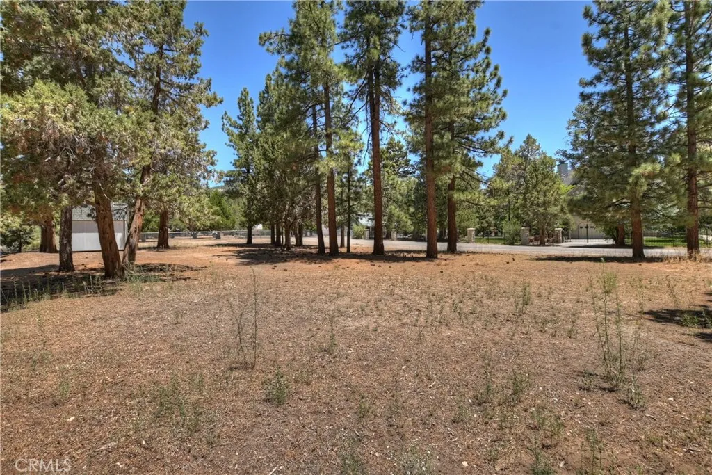 1109 Holden Avenue, Big Bear City, California 92314 home-pic-45