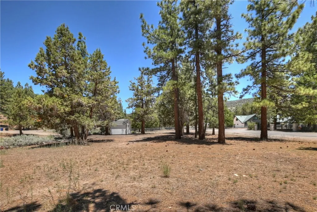 1109 Holden Avenue, Big Bear City, California 92314 home-pic-10