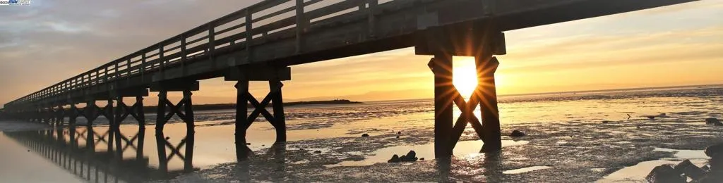 Hayward Regional Shoreline