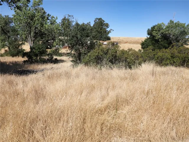 7532 Lake Street, Nice, California 95464