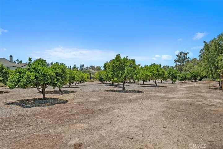 25572 Orchard Rim Ln, Lake Forest, California 92630