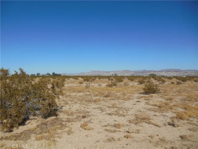 Lot View