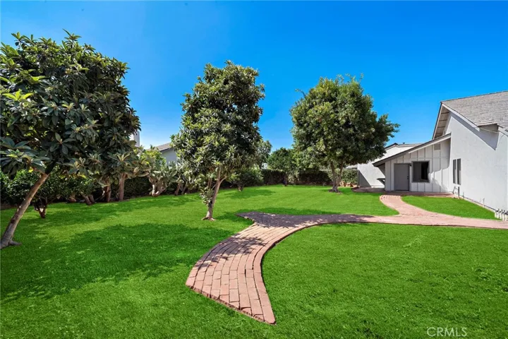 Grass has been superimposed to illustrate what it could be. Currently a blank canvas