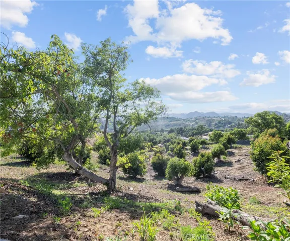 40620 Via Ranchitos, Fallbrook, California 92028