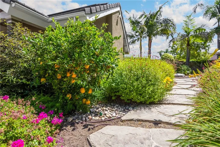 21210 Twin Oak, Yorba Linda, California 92886