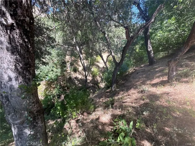 47199 Arroyo Seco Road, Greenfield, California 93927