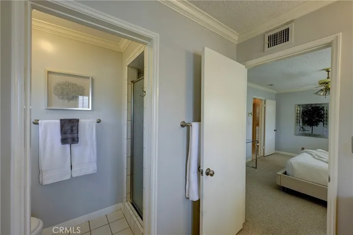 Primary private toilet and shower.