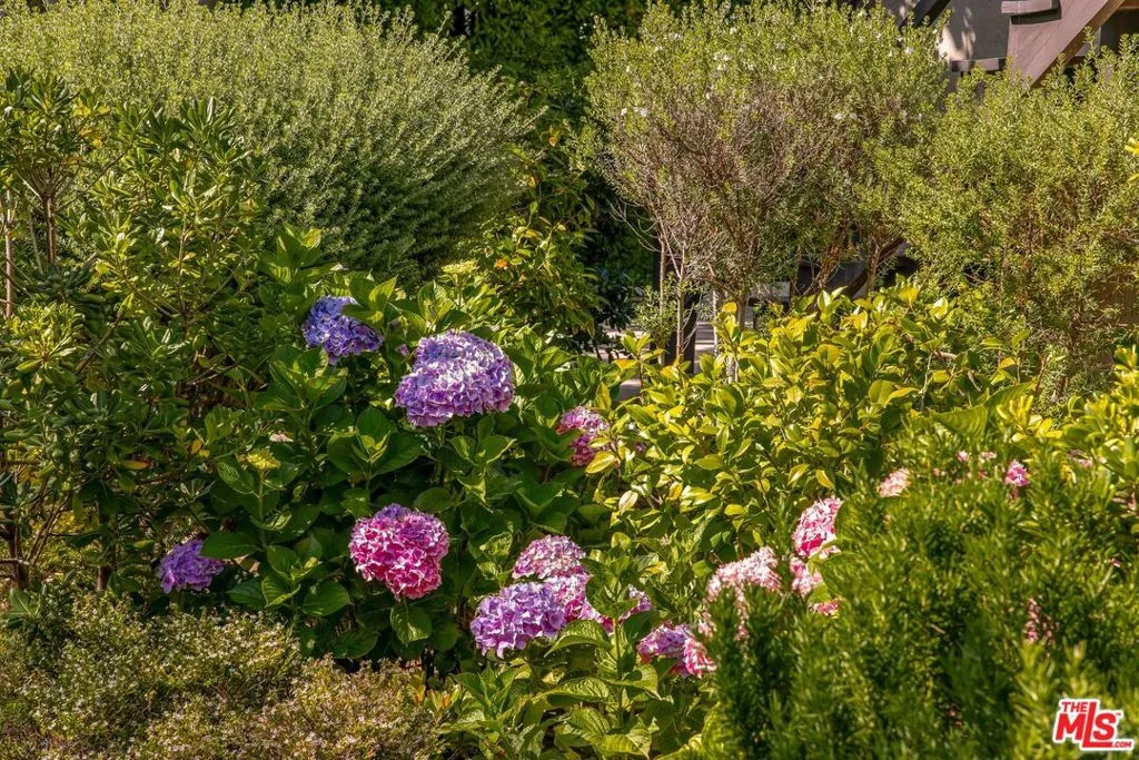 570 S Mapleton Drive, Los Angeles, California 90024 home-pic-7
