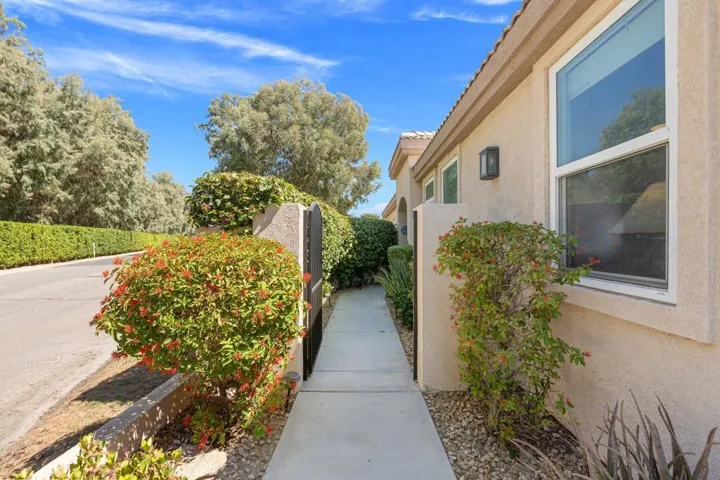 13-web-or-mls-8M4A1393
