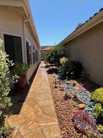 Succulent Garden