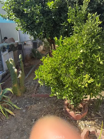 4616 N River Road 78, Oceanside, California 92057