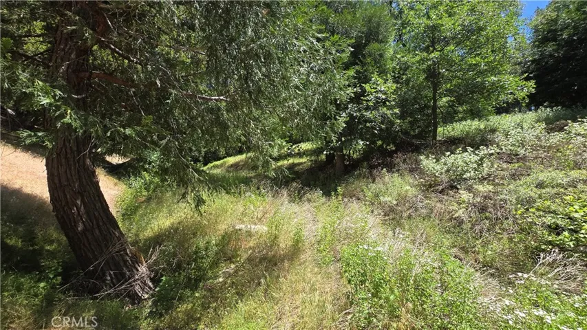 Taken from Mojave River Rd. The property is up this path and off to the right.