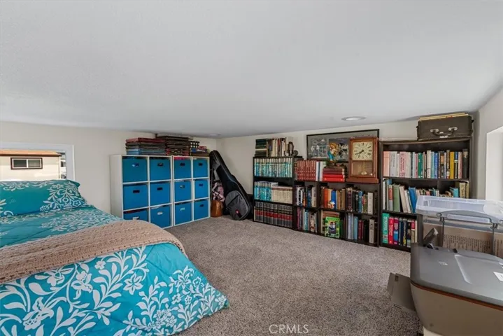 How much fun would the grandkids have up here?