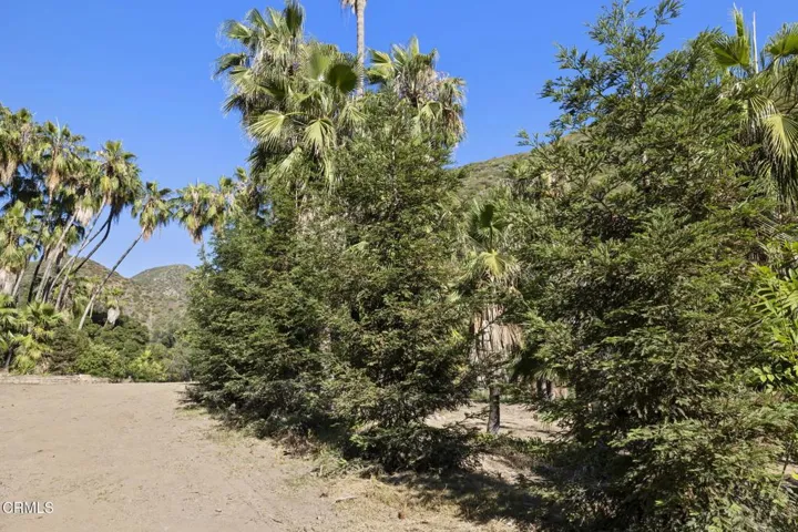 58-web-or-mls-UpmarketMedia-16825Mar-188