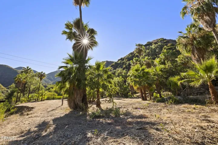 70-web-or-mls-UpmarketMedia-16825Mar-231