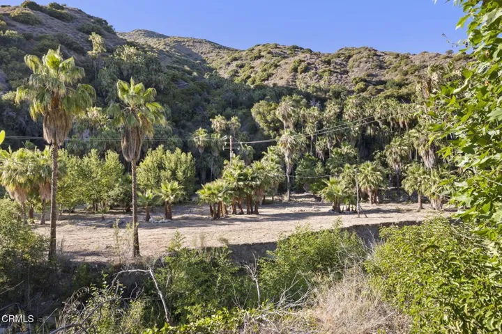 79-web-or-mls-UpmarketMedia-16825Mar-261