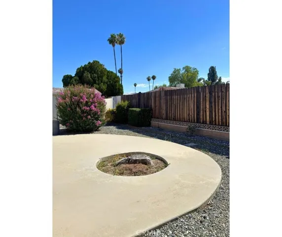 Back Yard/ Cemented area