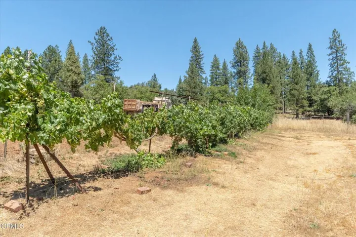 28-SweetwaterPhoto-2660-Independence-28