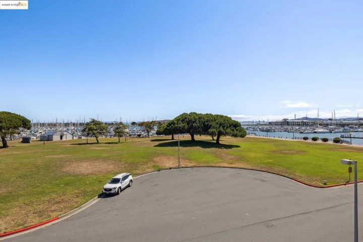 View from the Living Room