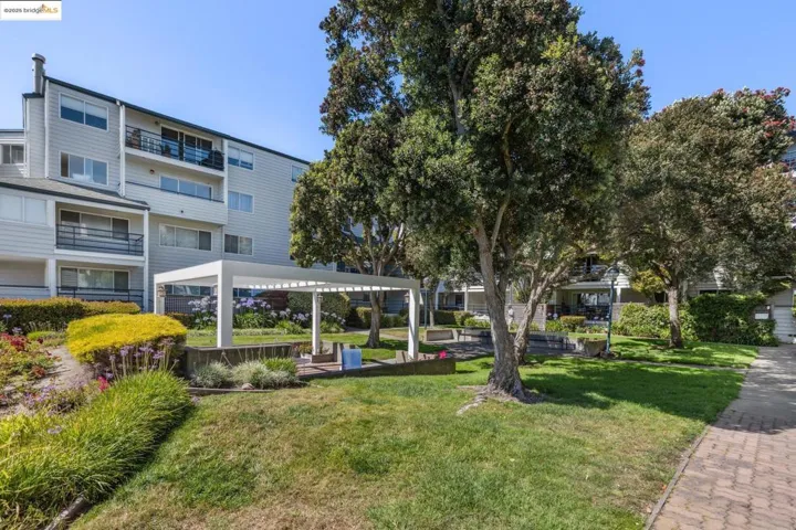 Northshore Community