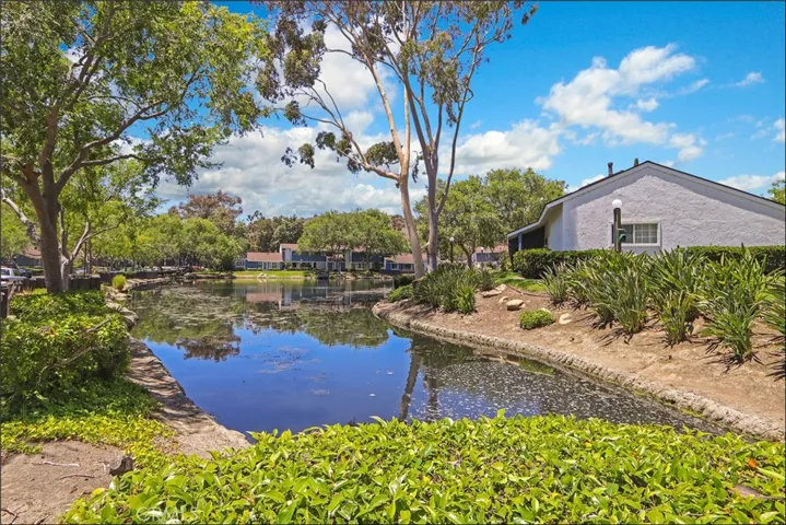 29682 Orinda Road, San Juan Capistrano, California 92675