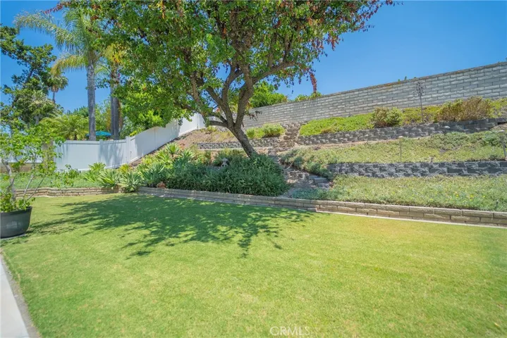 LARGE GRASS BACKYARD