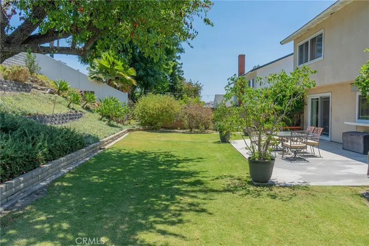 LARGE GRASS BACKYARD
