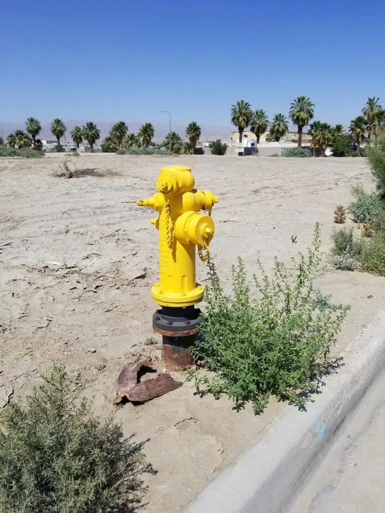 20240517_145938_resized