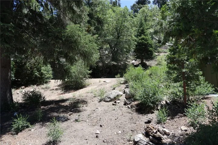 1013 Knickerbocker Road, Big Bear Lake, California 92315